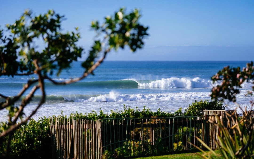 Team USA  Home Wave Advantage For U.S. Surfers Seeking Olympic  Qualification In Huntington Beach