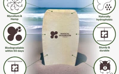 Magic Mushroom Boards Anyone?