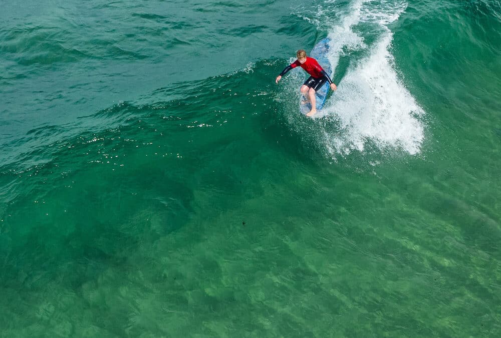 The Stable Longboard classic