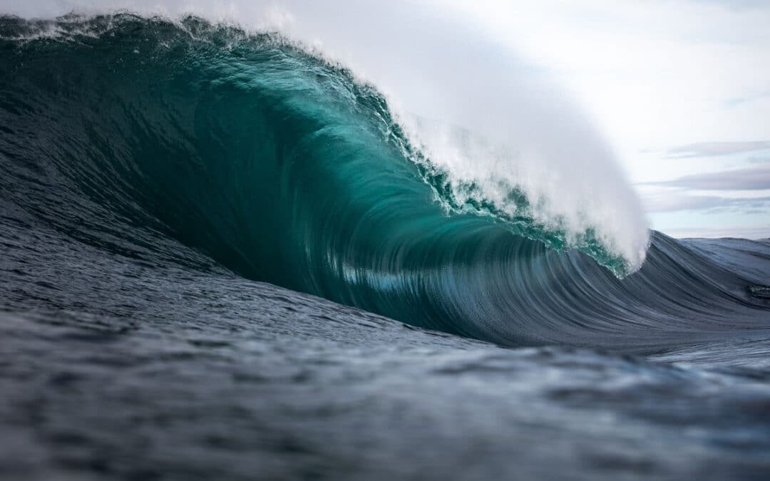 Our Scottish Seas