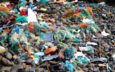 Beach Cleans help remove 99% of micro plastics