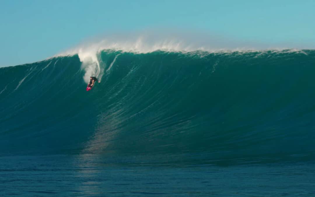 XXL Outer Reef Action
