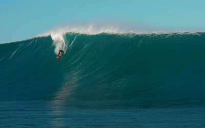XXL Outer Reef Action