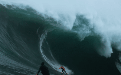 Monster Mavs