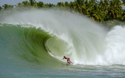 Indo, 10 of The Best