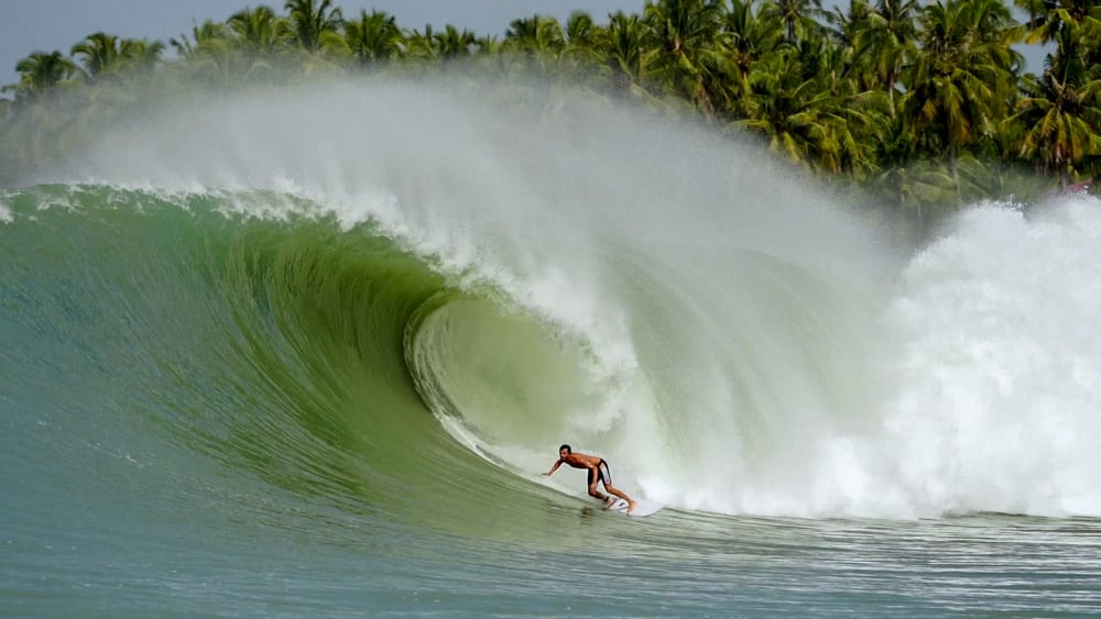 Indo, 10 of The Best