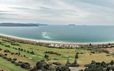 Artificial reefs are back! New wave proposed for Middleton Beach in Albany, WA