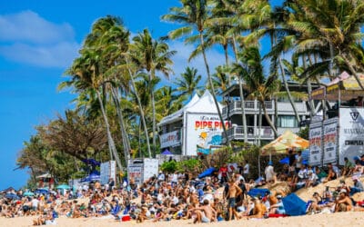 Lexus Pipe Pro