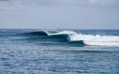 Top 5: Surf Island Escapes
