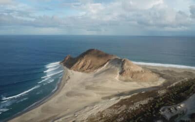 Save Punta Conejo