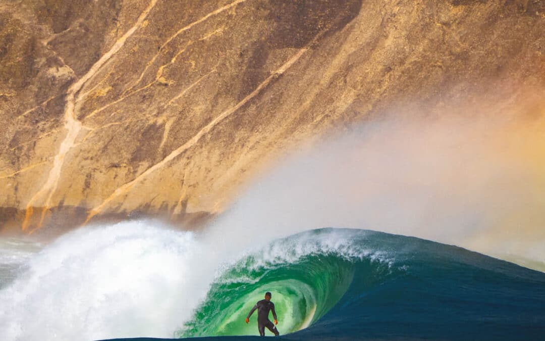 Carve Magazine Issue 222