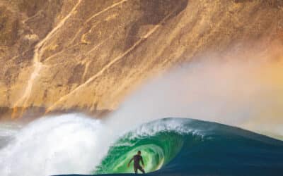 Carve Magazine Issue 222