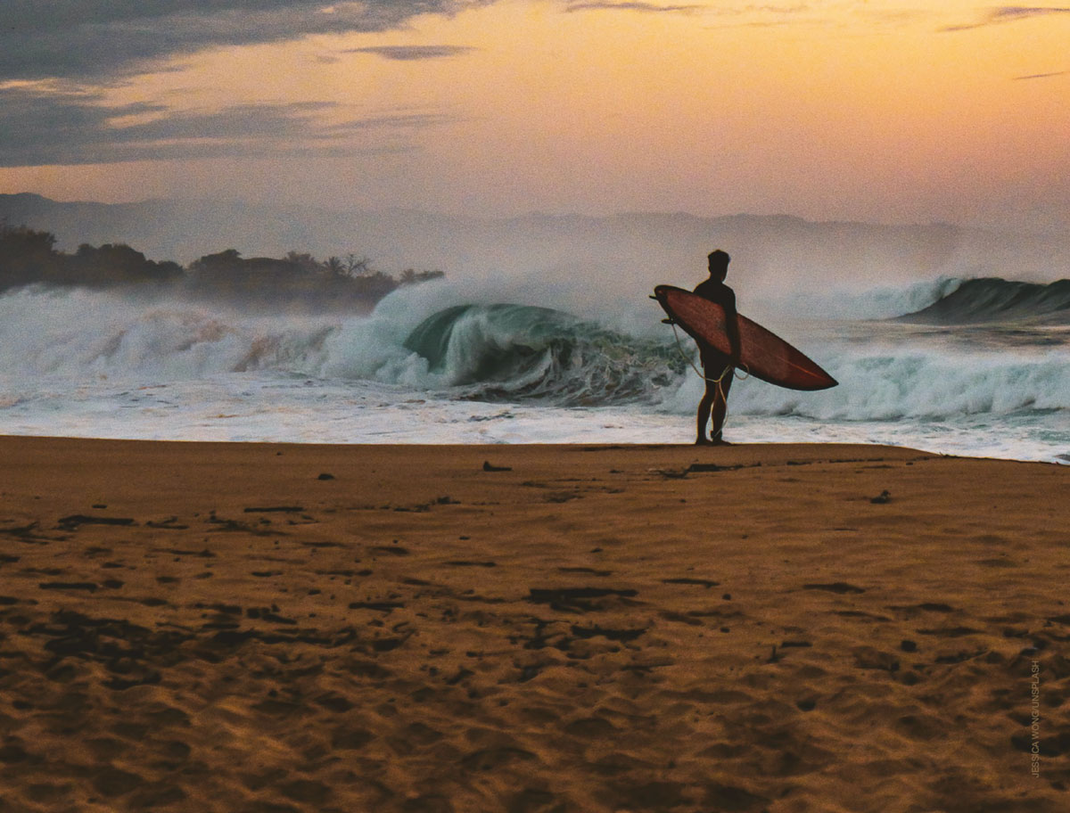 Carve Surfboard Guide 2024