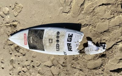 Surfer Attacked By Shark