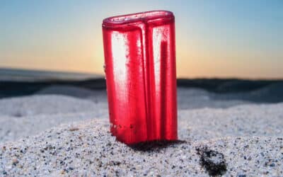 Andy Hughes – Photography, pollution and the power of imagery