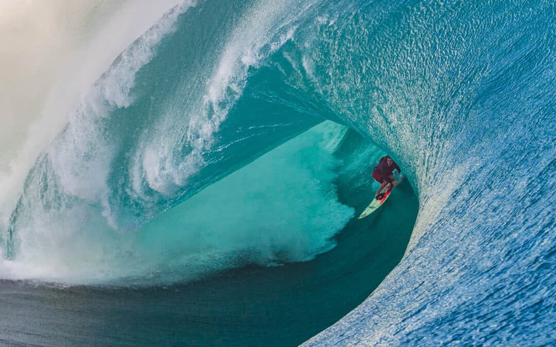 Carve Magazine Issue 224