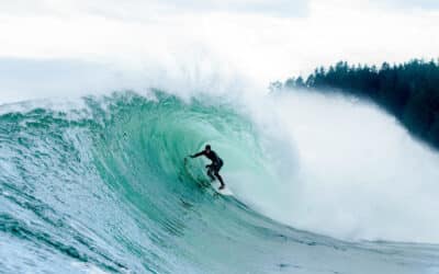 London Surf / Film Festival 2024 announce lineup
