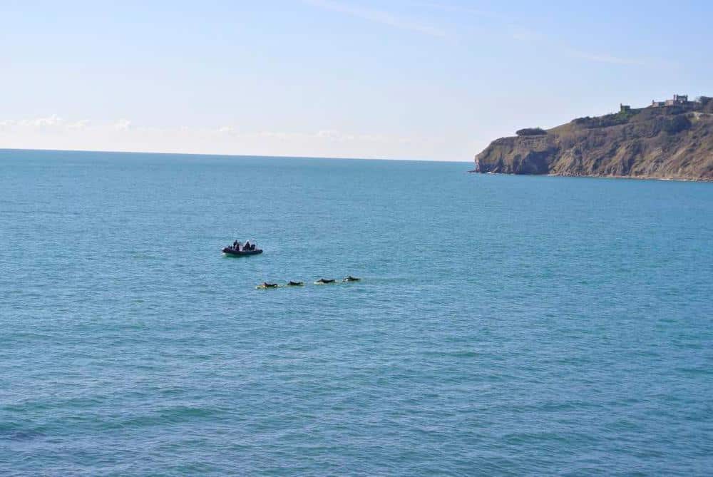 52 mile paddle in 24 hours for charity