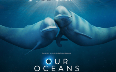“Our ocean” series starts tonight on Netflix