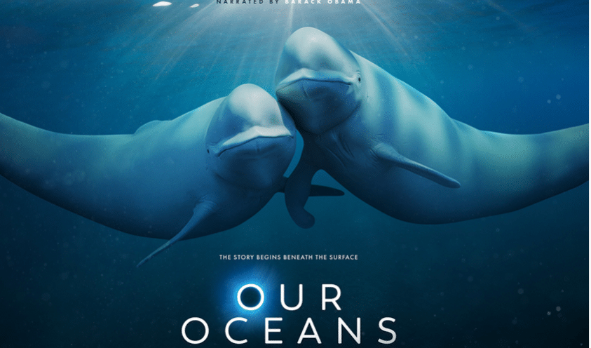“Our ocean” series starts tonight on Netflix