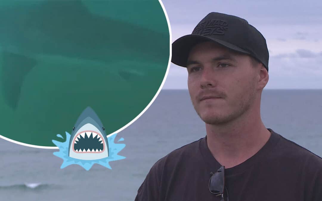 “Stay Together!” 5 metre shark circles surfers