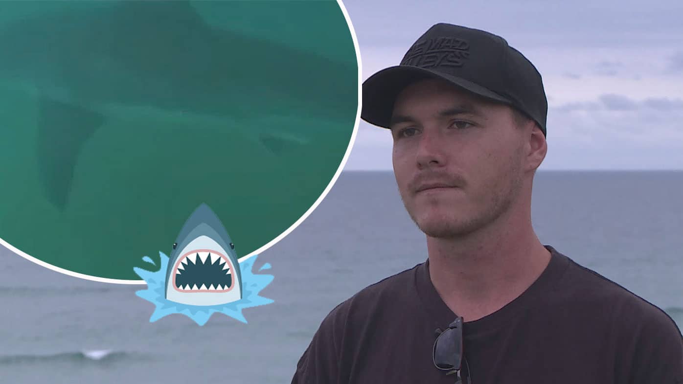 “Stay Together!” 5 metre shark circles surfers