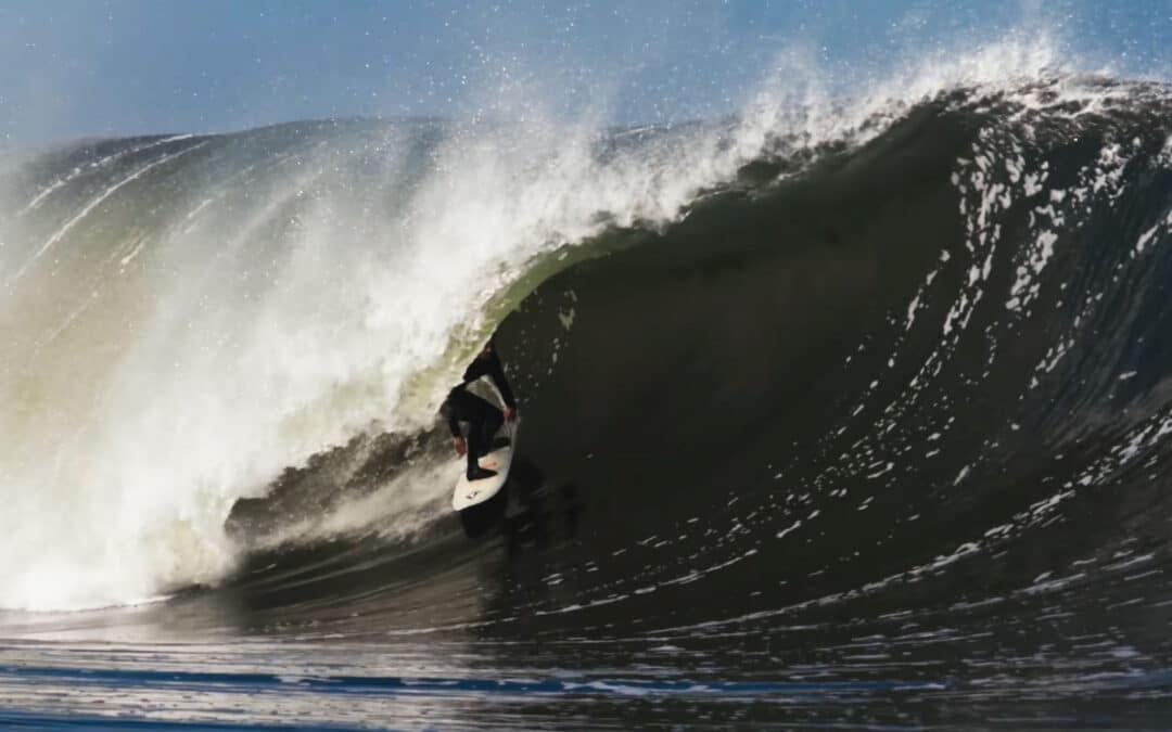 Ryan Lovelace X William Aliotti