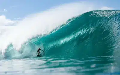 Vans Pipe Masters 2024