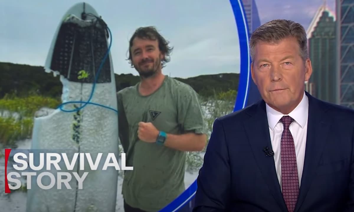 Surfer fights off shark in terrifying close call