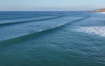 Firing Fizzy / January Sessions