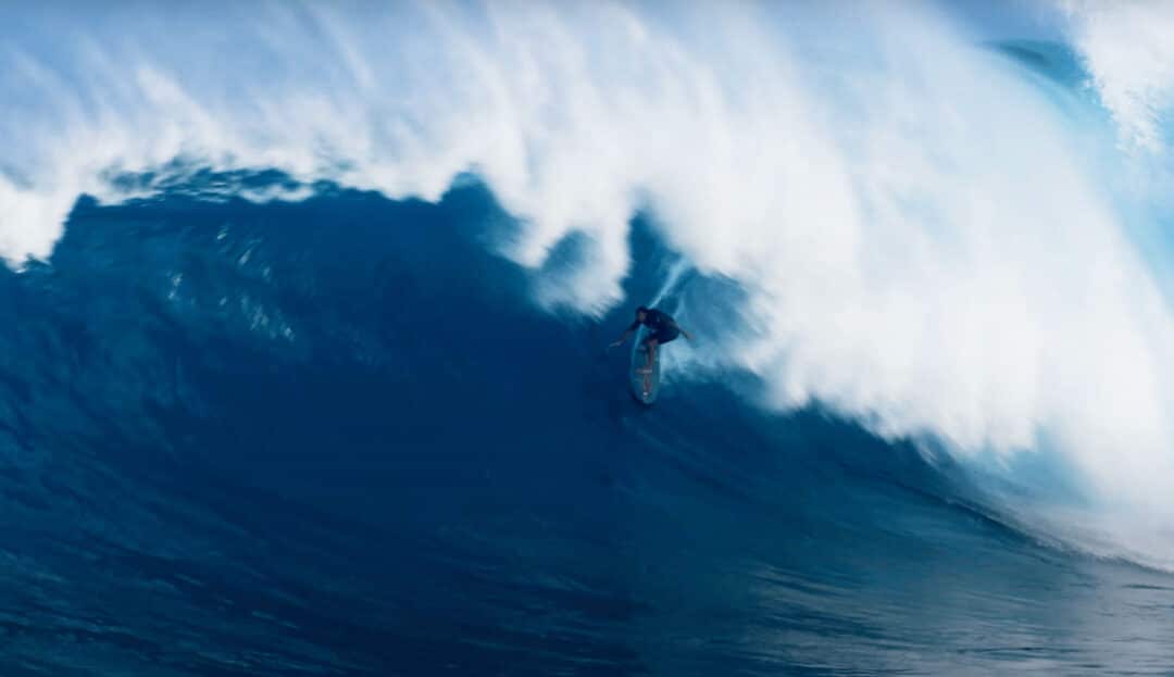 Kipp Caddy – Jaws