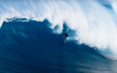 Kipp Caddy – Jaws