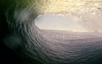 Surfers Dharma – The Journey to Purpose
