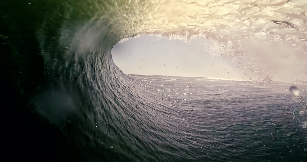 Surfers Dharma – The Journey to Purpose