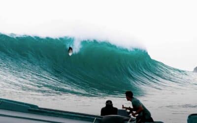 Monster Slab, Silverbacks
