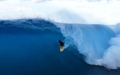Free Wille – Mentawai Islands