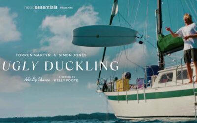 ‘The Ugly Duckling’