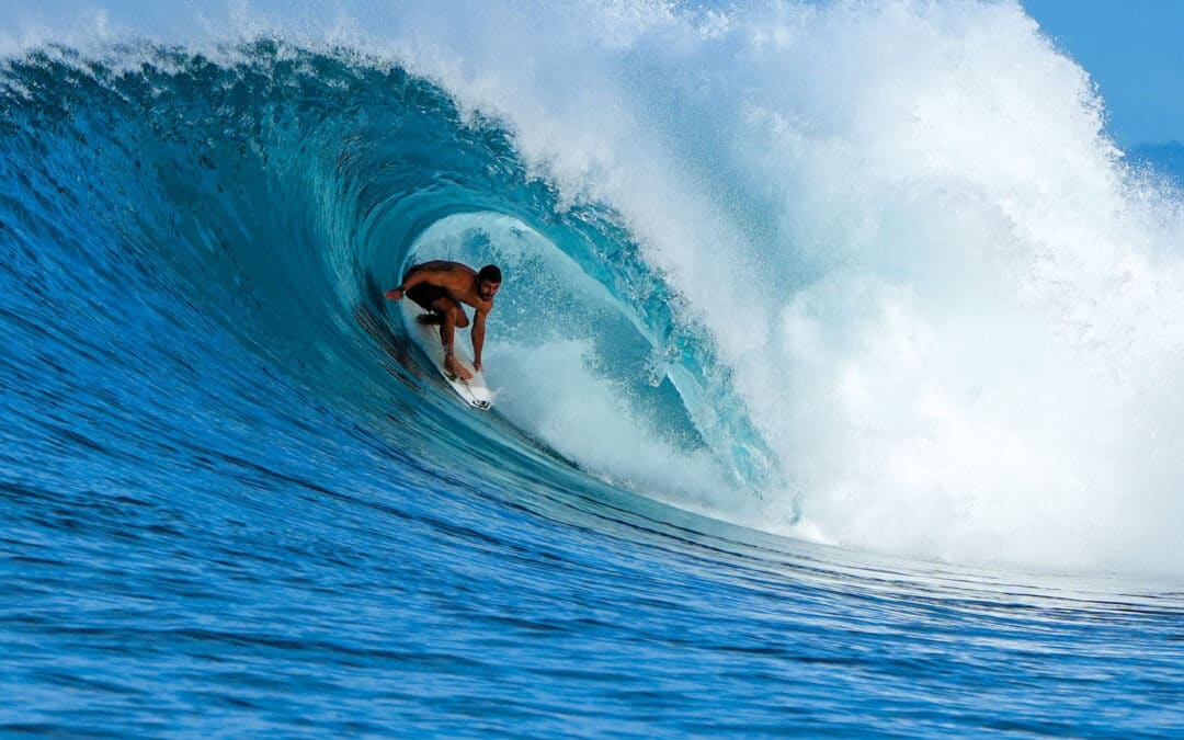 Carve Magazine Issue 227