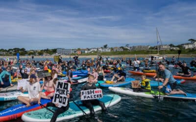 Public paddles out in protest
