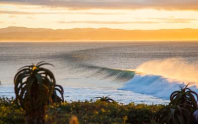 WSL 2026 tour is looking good!