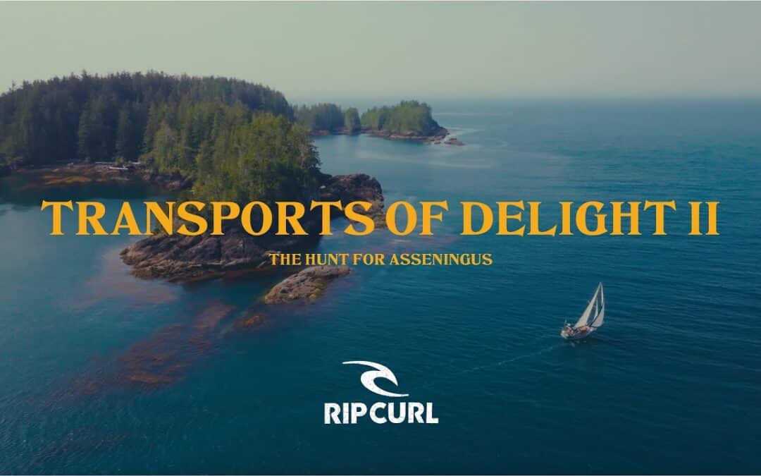 Transports of Delight II