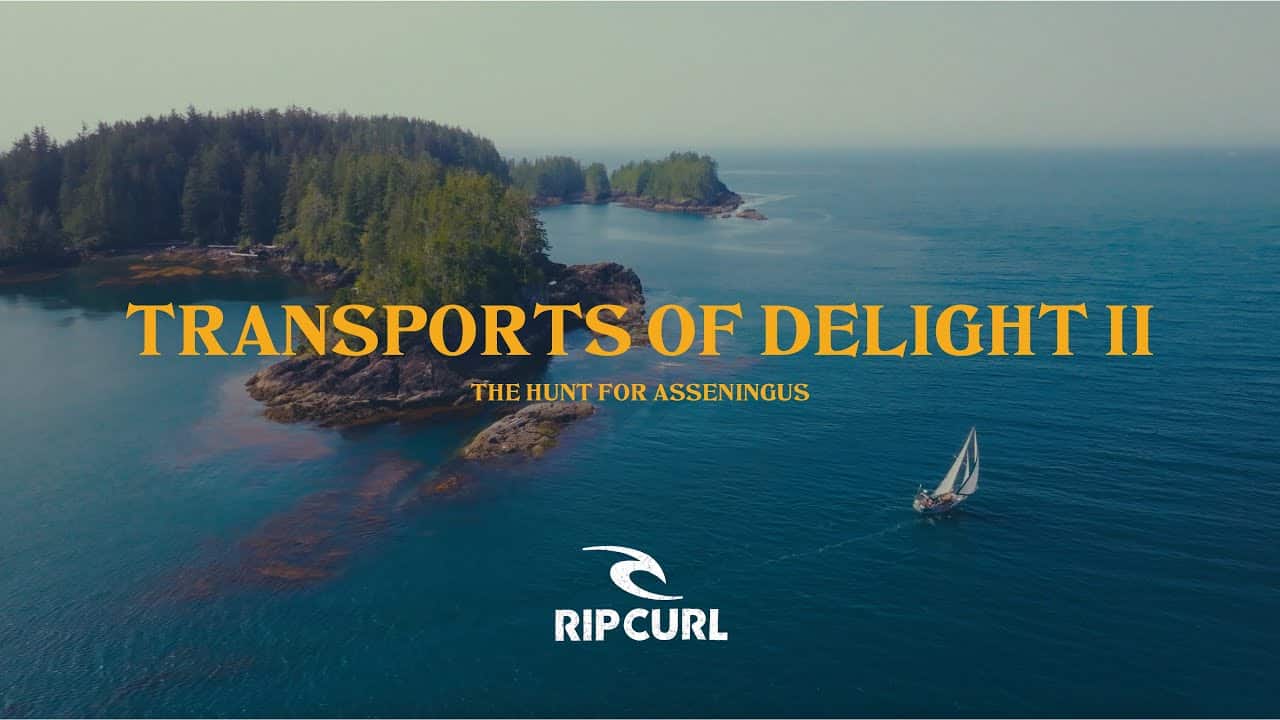 Transports of Delight II