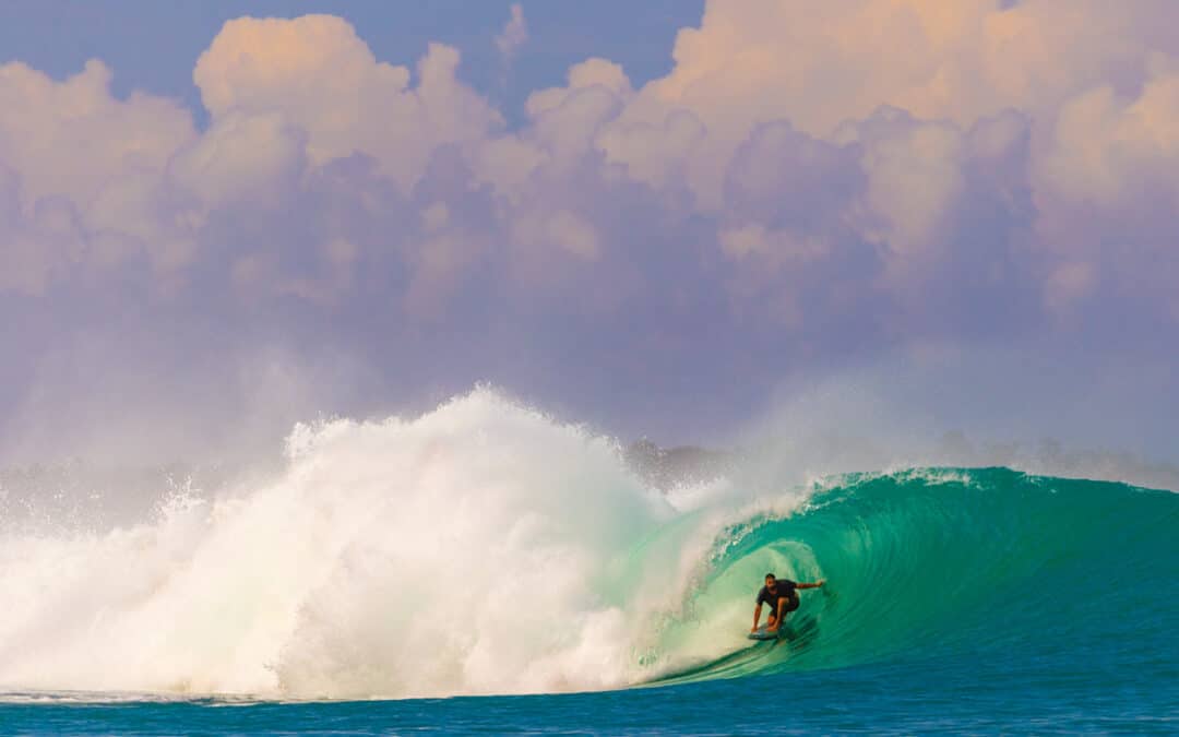 Carve Magazine Issue 228