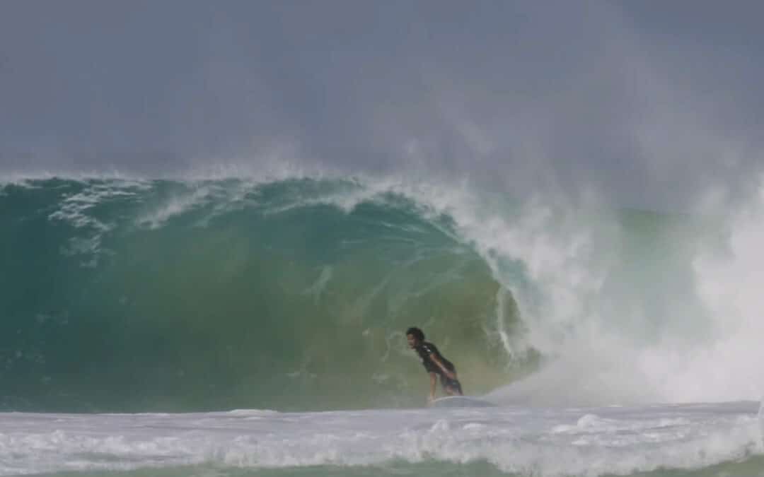 Mikey February Magic