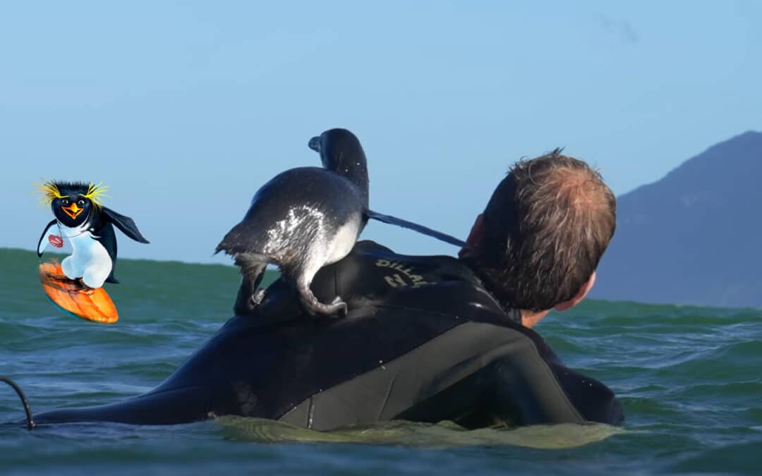 Surfing with a Penguin
