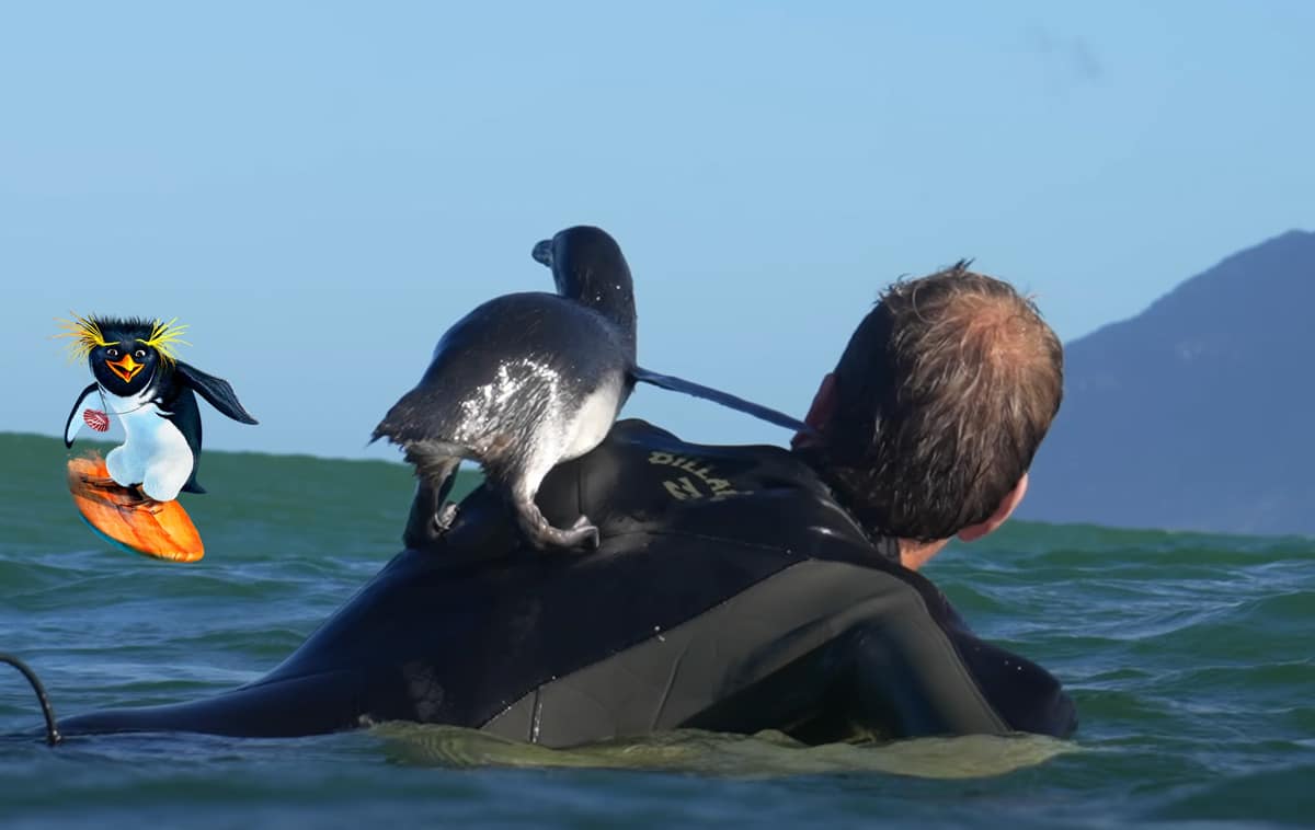 Surfing with a Penguin