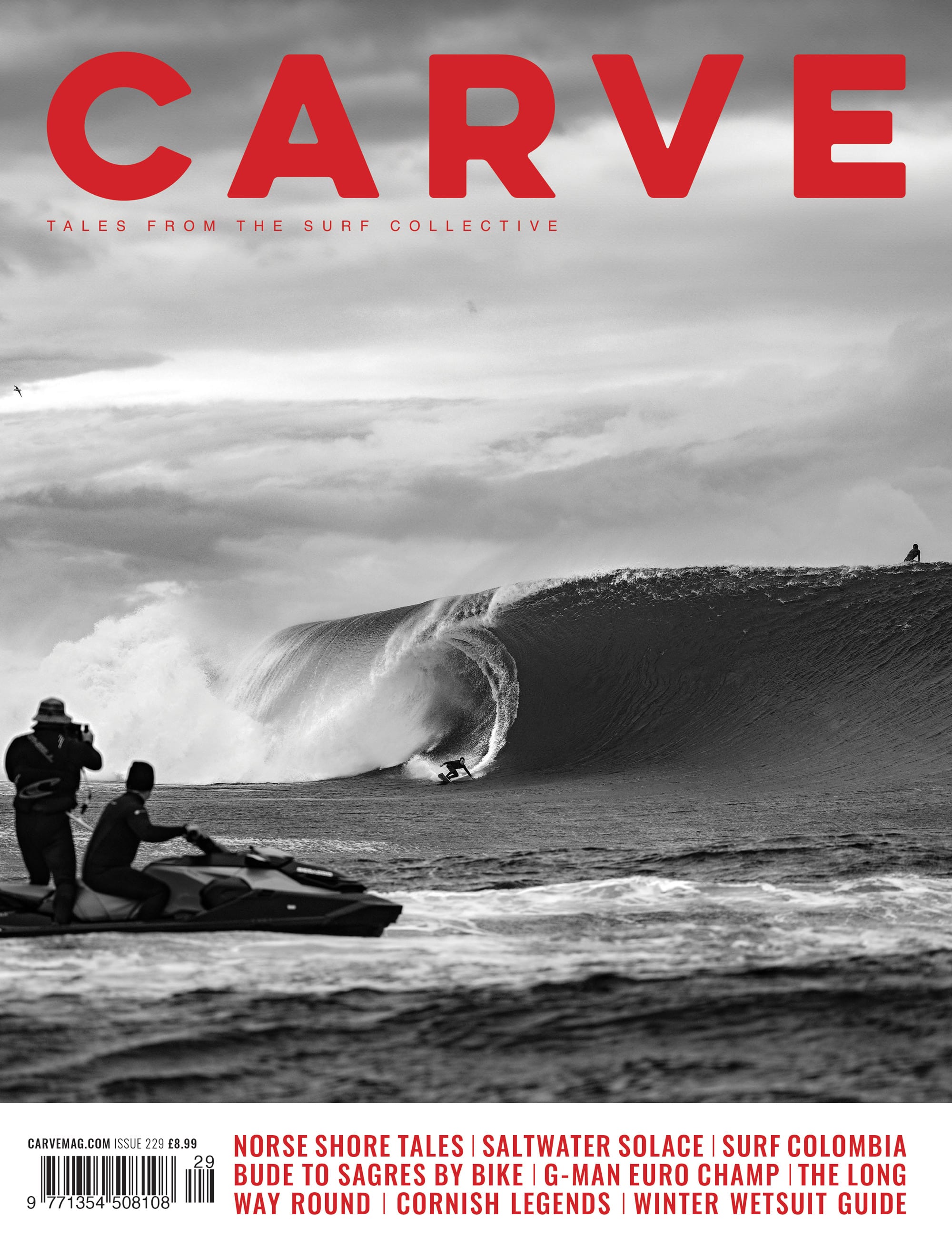 Birth of The Endless Summer - Carvemag.com