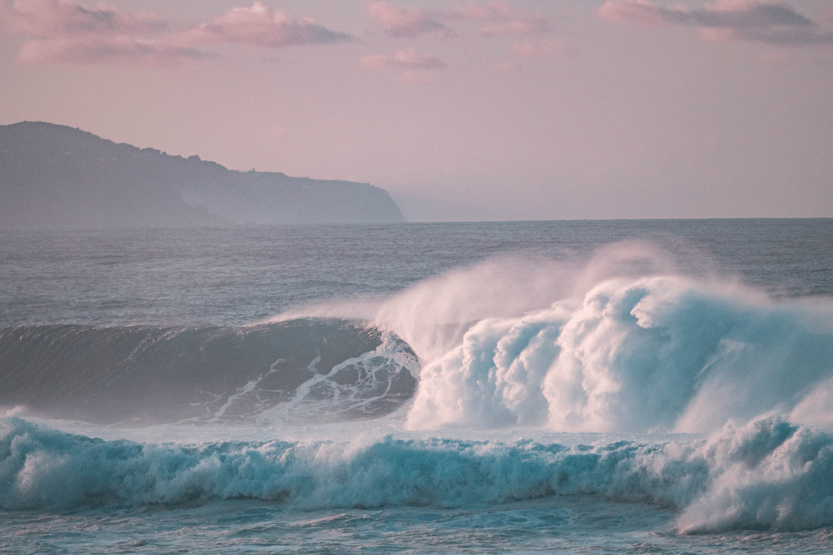 Escape to the Surf - Featured Image