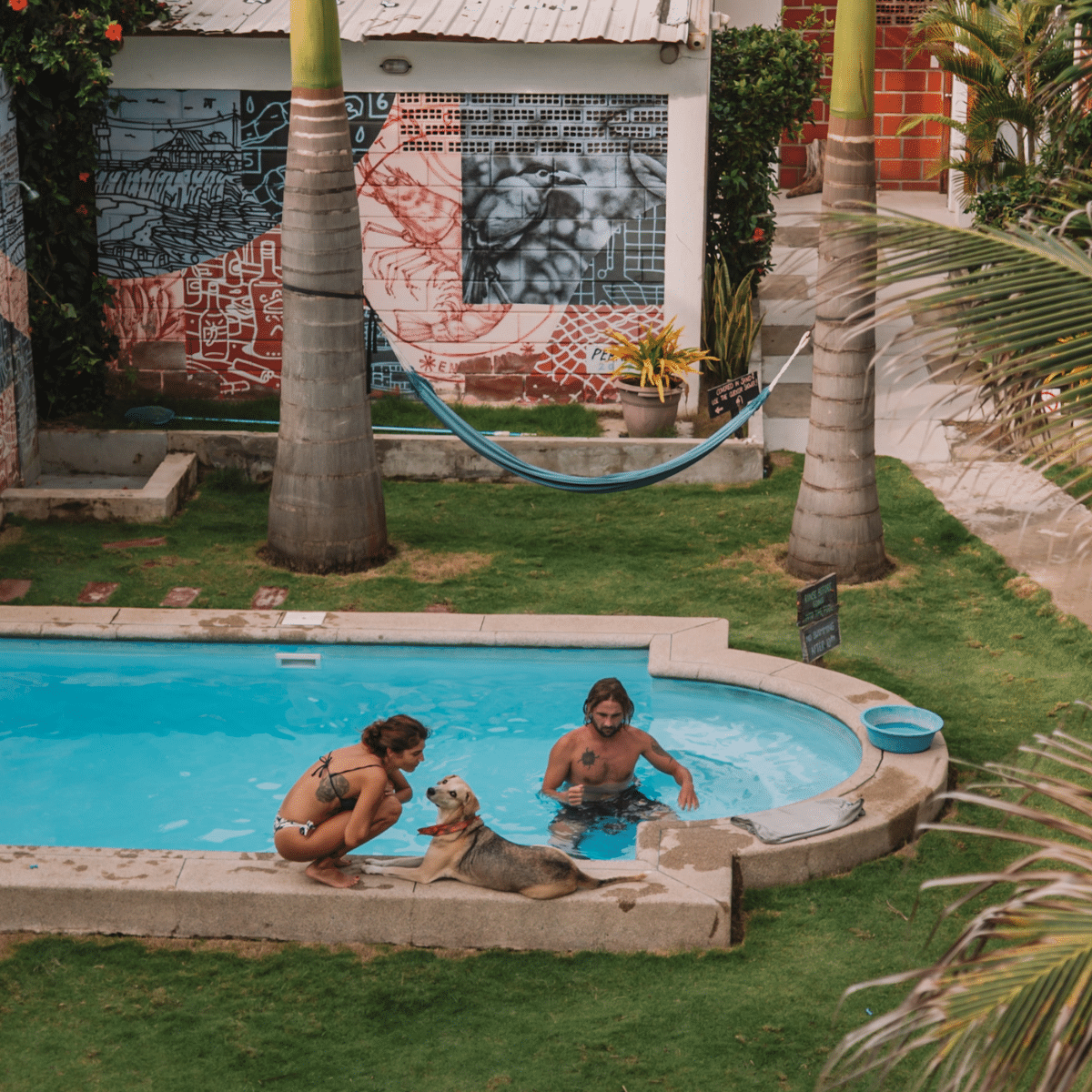 The pool at Free Spirit Hostel Ecuador