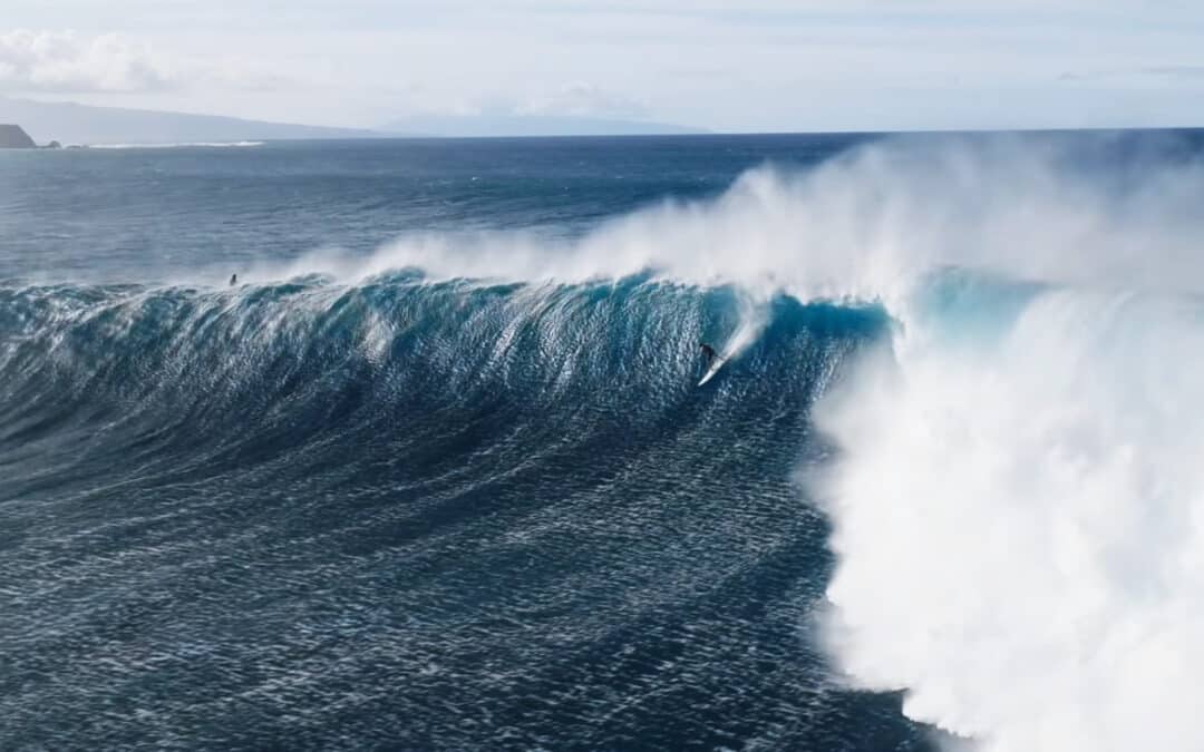 In The Mouth of Jaws